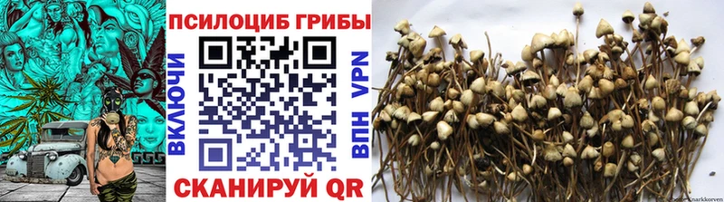 OMG   Калачинск  Галлюциногенные грибы Cubensis 